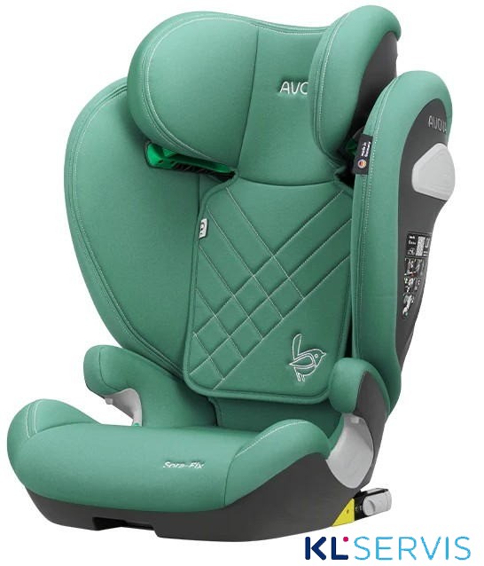 Cactus Green