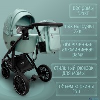 Модульная коляска  Pellegrino 3в1