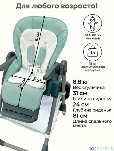 Стульчик для кормления Bubago Amelia 