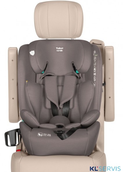 Автокресло Carrello Yukon 9-36 кг