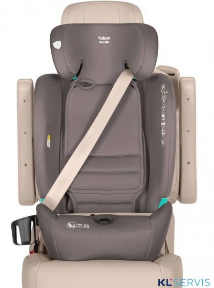 Автокресло Carrello Yukon 9-36 кг