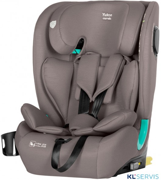 Автокресло Carrello Yukon 9-36 кг