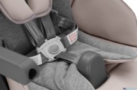 Шезлонг, стульчик для кормления Carrello Comfort CRL-9506