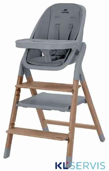 Стульчик для кормления Carrello Ergo 4в1 CRL-16701
