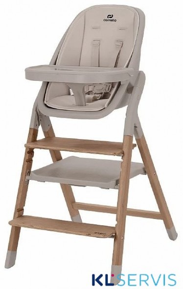 Стульчик для кормления Carrello Ergo 4в1 CRL-16701