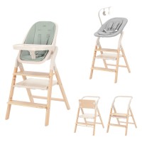 Стульчик для кормления Carrello Ergo 4в1 CRL-16701