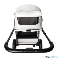 Коляска Labala Raiz 2в1