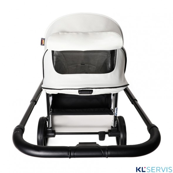 Коляска Labala Raiz 2в1