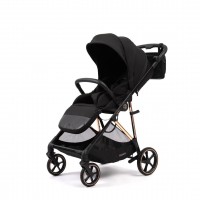 Коляска прогулочная Peppy Amici LX