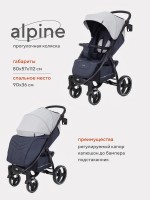 Прогулочная коляска Rant basic Alpine RA450