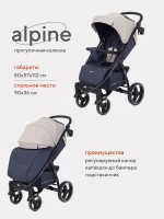 Прогулочная коляска Rant basic Alpine RA450