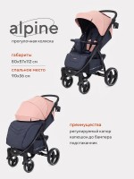 Прогулочная коляска Rant basic Alpine RA450