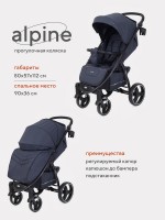 Прогулочная коляска Rant basic Alpine RA450