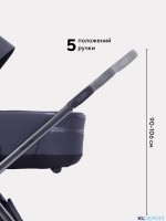 Коляска Rant Falcon Soft Therm 2 в 1 RA111 