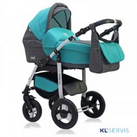 Коляска 2 в 1 Teddy Bart-Plast Fenix Len