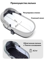 КОЛЯСКА 2 В 1 RANT FLEX SOFT THERM 