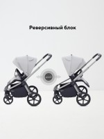 КОЛЯСКА 2 В 1 RANT FLEX SOFT THERM 