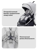 КОЛЯСКА 2 В 1 RANT FLEX SOFT THERM 