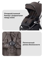 КОЛЯСКА 2 В 1 RANT FLEX SOFT THERM 