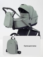 КОЛЯСКА 2 В 1 RANT FLEX SOFT THERM 