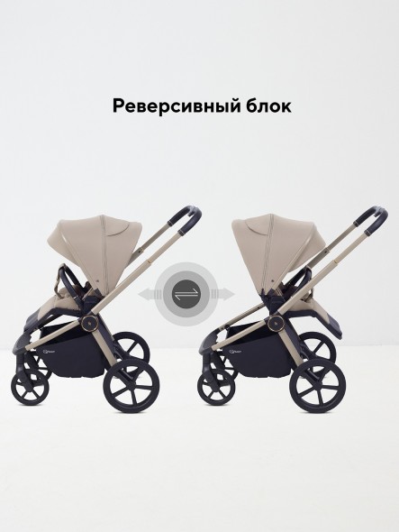 КОЛЯСКА 2 В 1 RANT FLEX SOFT THERM 
