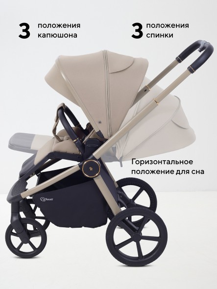 КОЛЯСКА 2 В 1 RANT FLEX SOFT THERM 