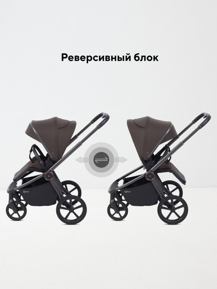 КОЛЯСКА 2 В 1 RANT FLEX SOFT THERM 