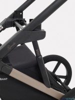 КОЛЯСКА 2 В 1 RANT GARDA