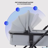 КОЛЯСКА 2 В 1 RANT MOSS 2025