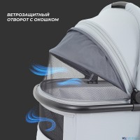 КОЛЯСКА 2 В 1 RANT MOSS 2025