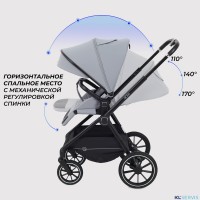 КОЛЯСКА 2 В 1 RANT MOSS 2025