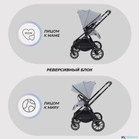 КОЛЯСКА 2 В 1 RANT MOSS 2025