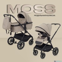 КОЛЯСКА 2 В 1 RANT MOSS 2025