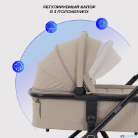 КОЛЯСКА 2 В 1 RANT MOSS 2025