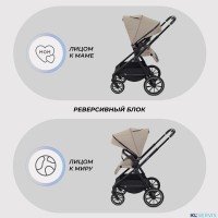 КОЛЯСКА 2 В 1 RANT MOSS 2025