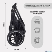 КОЛЯСКА 2 В 1 RANT MOSS 2025