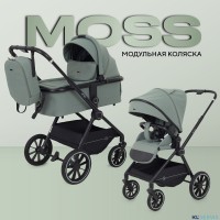 КОЛЯСКА 2 В 1 RANT MOSS 2025