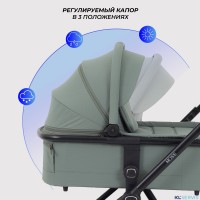КОЛЯСКА 2 В 1 RANT MOSS 2025
