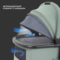 КОЛЯСКА 2 В 1 RANT MOSS 2025