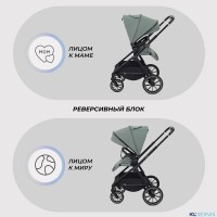 КОЛЯСКА 2 В 1 RANT MOSS 2025