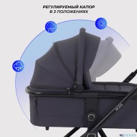 КОЛЯСКА 2 В 1 RANT MOSS 2025