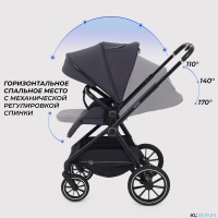 КОЛЯСКА 2 В 1 RANT MOSS 2025