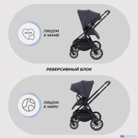 КОЛЯСКА 2 В 1 RANT MOSS 2025