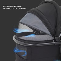 КОЛЯСКА 2 В 1 RANT MOSS 2025