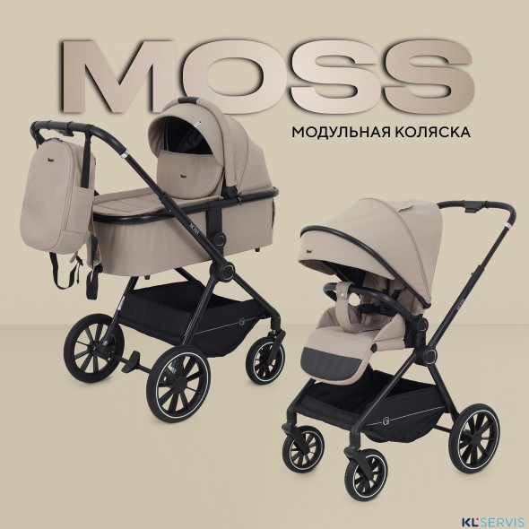 КОЛЯСКА 2 В 1 RANT MOSS 2025