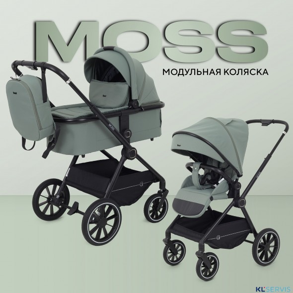 КОЛЯСКА 2 В 1 RANT MOSS 2025