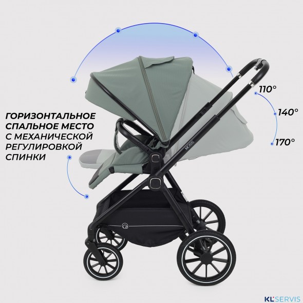 КОЛЯСКА 2 В 1 RANT MOSS 2025