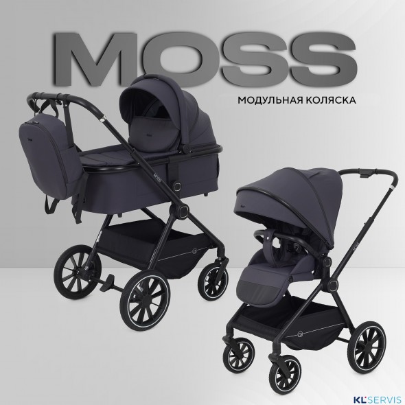 КОЛЯСКА 2 В 1 RANT MOSS 2025