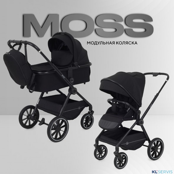 КОЛЯСКА 2 В 1 RANT MOSS 2025