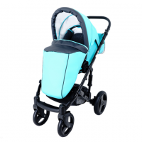 ДЕТСКАЯ КОЛЯСКА RAY CORSA ECCO 2 В 1